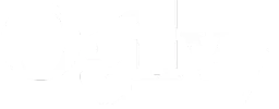 Logo 5 logo